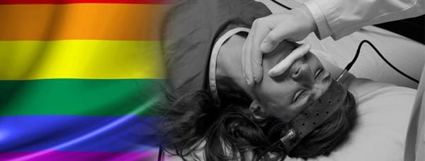 Fuente: acciongay.cl