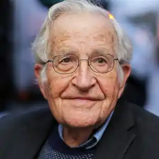 Analogue and digital: Chomsky on AI